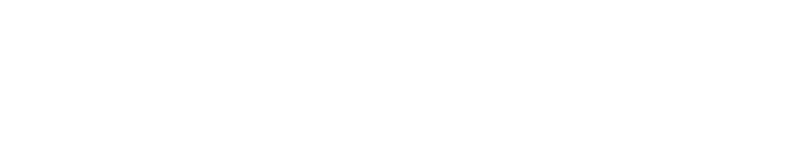 Elvest