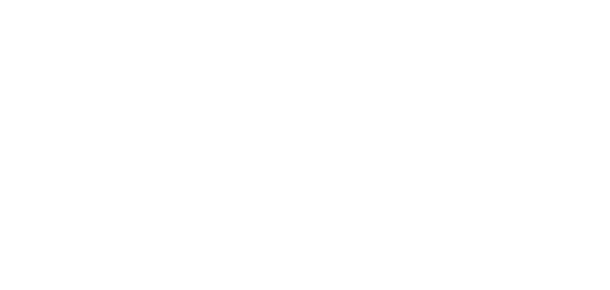 Fidelity